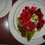 ロシア料理　ビーツのサラダ　ヴィネグレット
